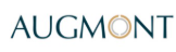 Augmont Enterprises logo